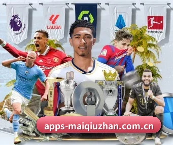 买球站 APP | maiqiuzhan